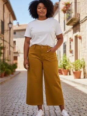 PIOINT SUR J.CREW WIDE LEG CROP PANTS SZ 35